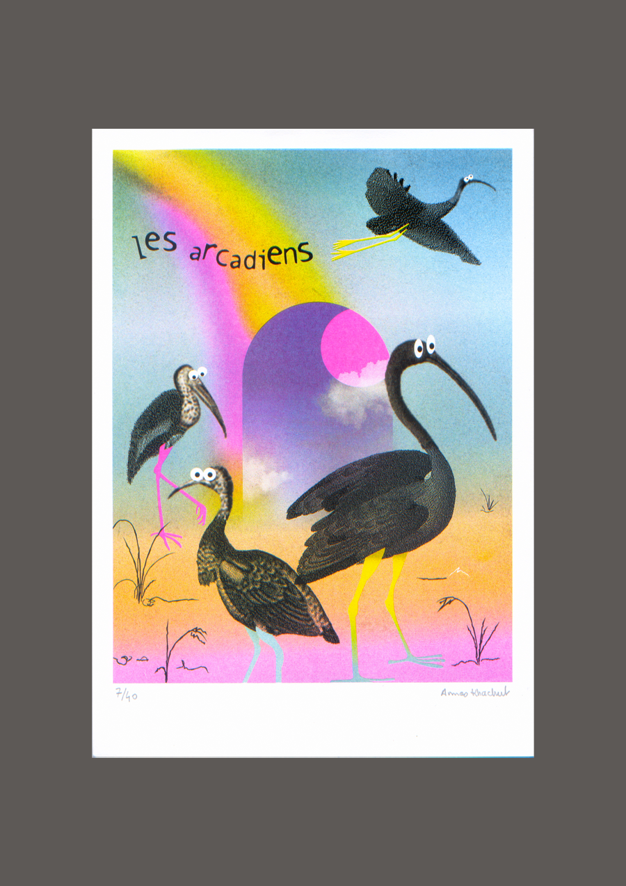 Risographie 4 couleurs représentant des échassiers